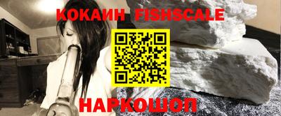 шишки Сосновый Бор