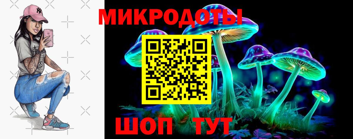 Галлюциногенные грибы прущие грибы Ачинск