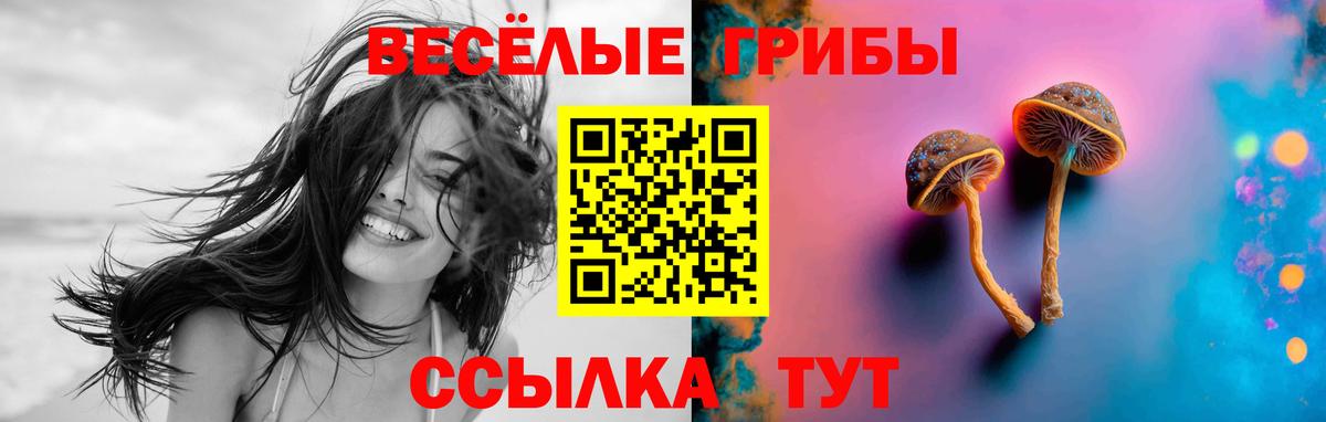 Ачинск  Псилоцибиновые грибы прущие грибы  Вход с VPN 